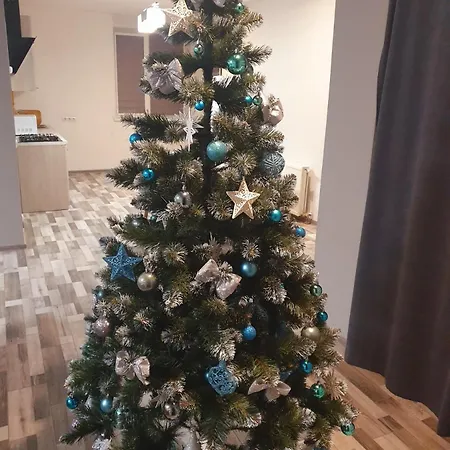 New на гвардейской Apartment Uschhorod